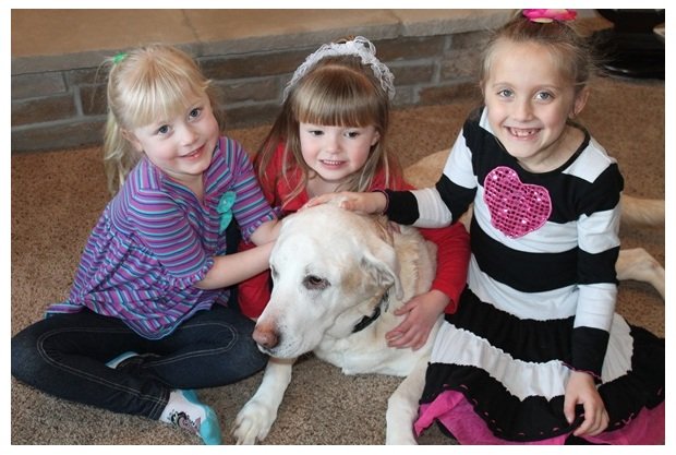 Family operated carpet cleaning business in Northwest Indiana
